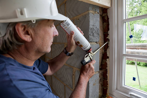 Best Wall Insulation Installation  in Davie, FL